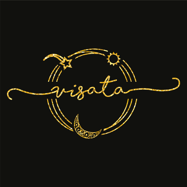 Visata logo